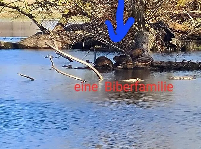 アパート Grosszuegige In -dalari ヴィッテンベルゲ